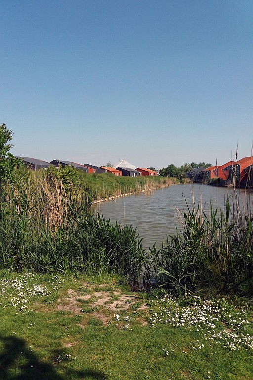 SP0518 (13).jpg